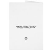 Cheeky Chipmunk Card (Back)