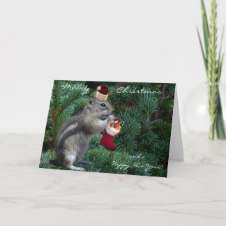 Cheeky Christmas Chipmunk Holiday Card