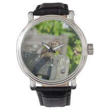 Cheeky Garden Sparrow Watch