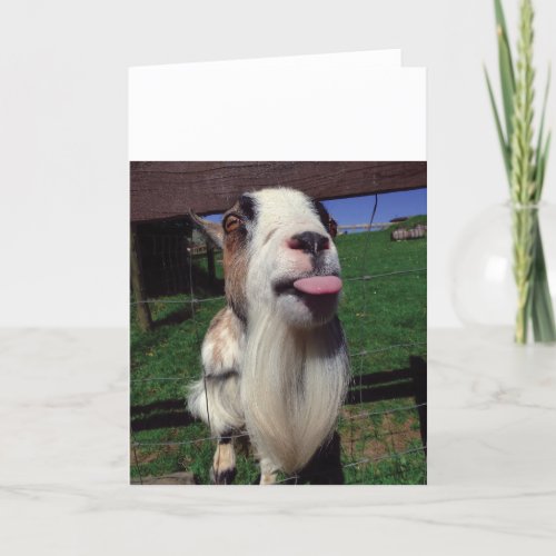 Cheeky Goat Greeting Card