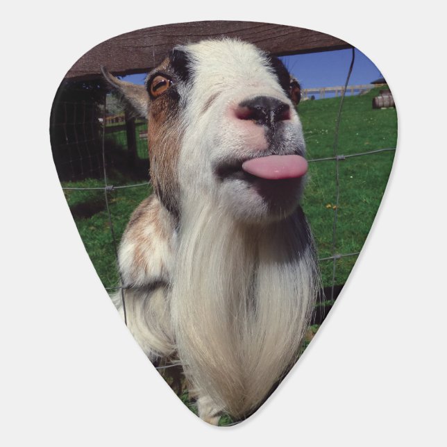 Cheeky Goat Guitar Pick (Back)