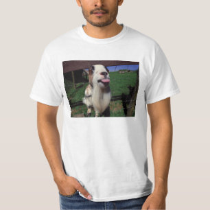 Cheeky Goat T-Shirt