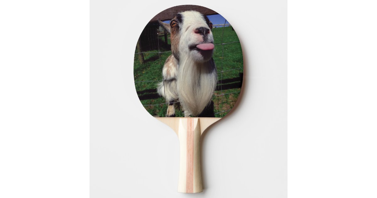Cheeky Goat Table Tennis Paddle Zazzle