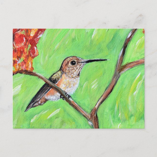Cheeky Hummingbird Painting Postcard (Front)