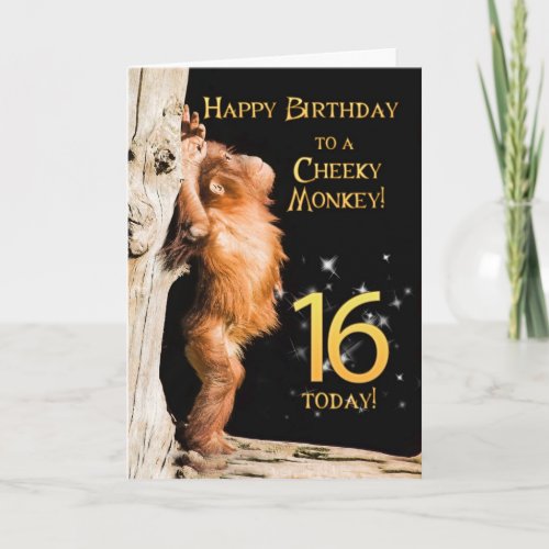 Cheeky monkey age 16 card