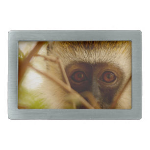 Cheeky Monkey. Belt Buckle