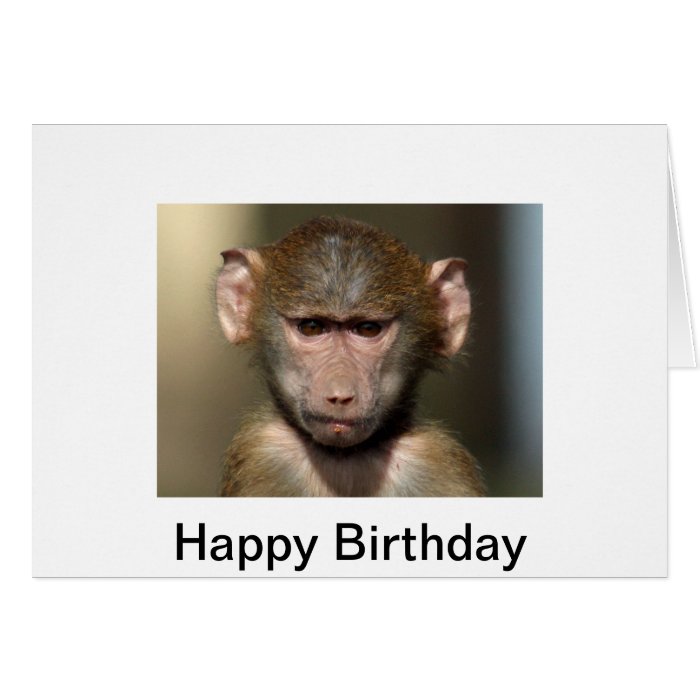 Cheeky Monkey Birthday Card   Cute Animal Design