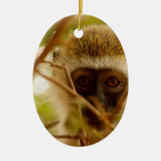 Cheeky Monkey. Ceramic Ornament (Front)