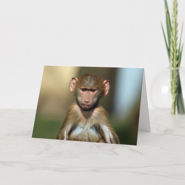 Cheeky Monkey - Cute Baby Baboon Card (Front)