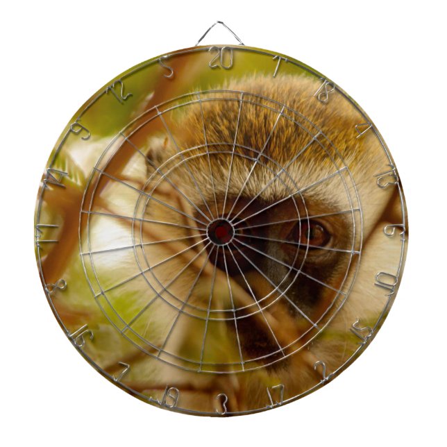 Cheeky Monkey. Dart Board (Front)