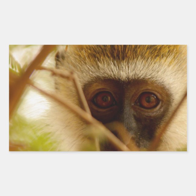 Cheeky Monkey. Rectangular Sticker (Front)