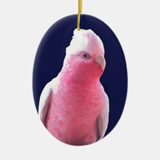 Cheeky pink and gray Australian parrot Ceramic Ornament (Front)
