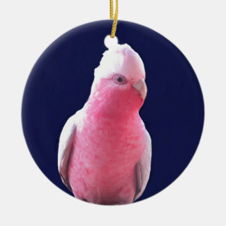 Cheeky pink and gray Australian parrot Ceramic Ornament