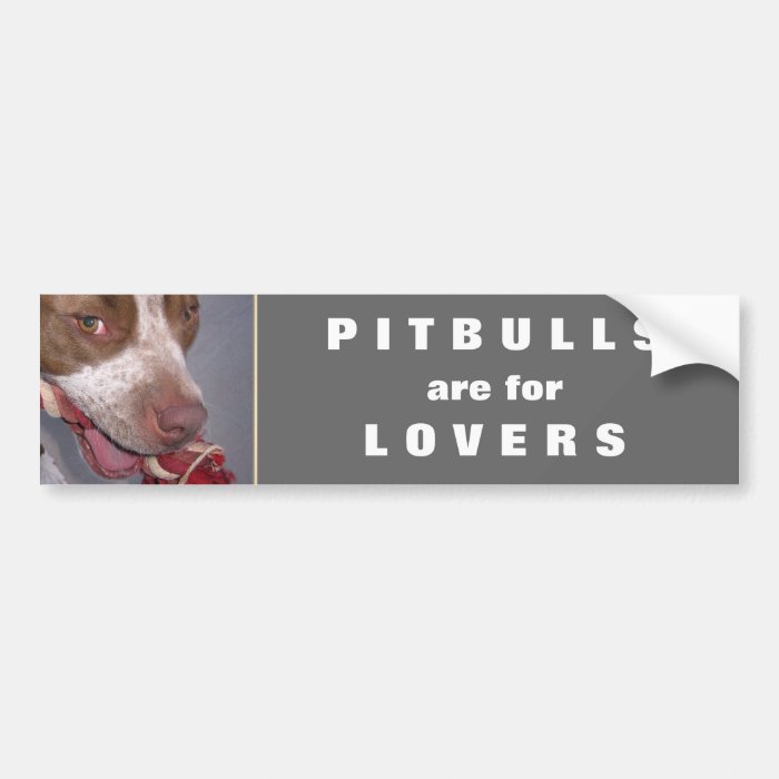 Cheeky Pitbull Bumper Stickers