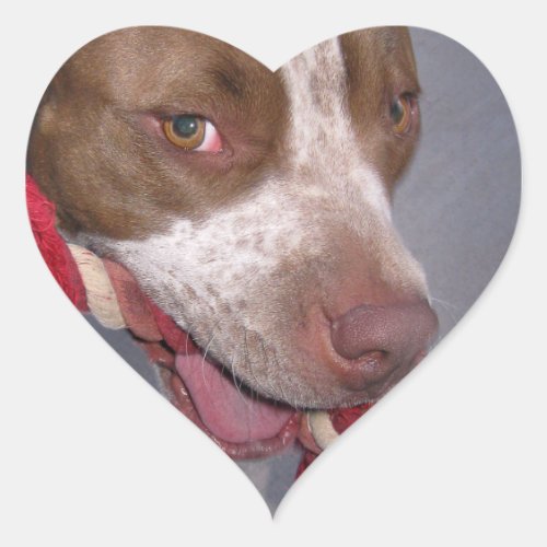 Cheeky Pitbull Heart Sticker