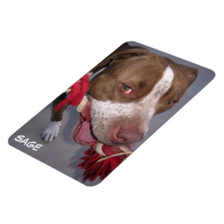 Cheeky Pitbull Magnet