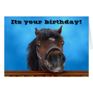 Horse Lovers Birthday Cards | Zazzle