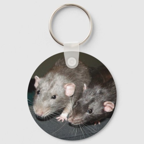 Cheeky rat brothers  Button Keychain