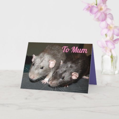 Cheeky rat brothers Mothers Day Card