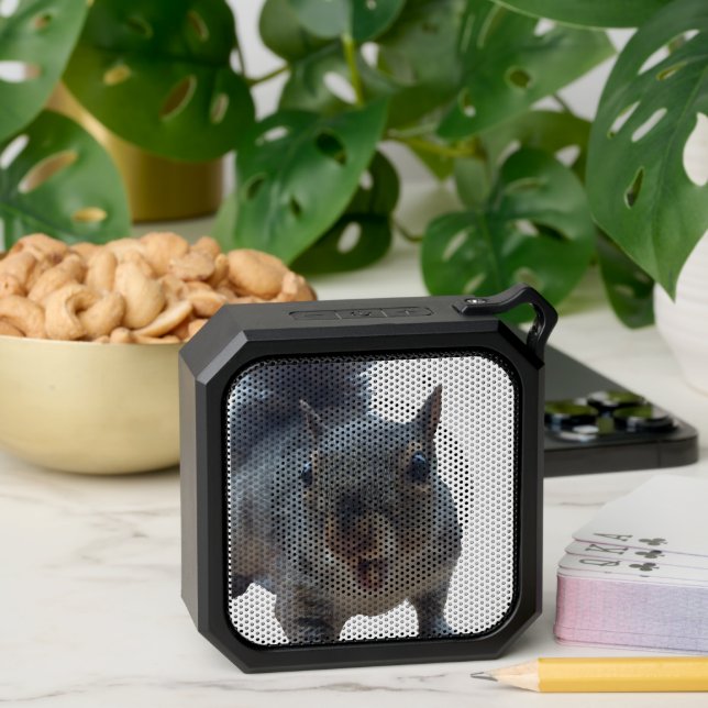 Cheeky Squirrel Bluetooth Speaker (Insitu(Table))