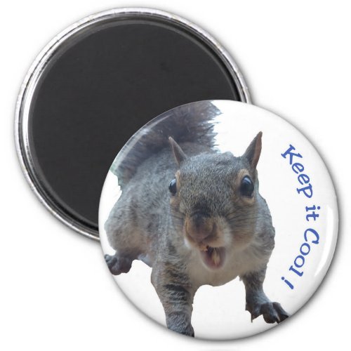 Cheeky Squirrel Fridge Magnet