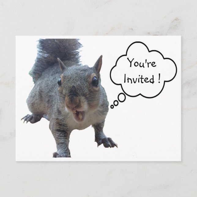 Cheeky Squirrel You're Invited Postcard (Front)