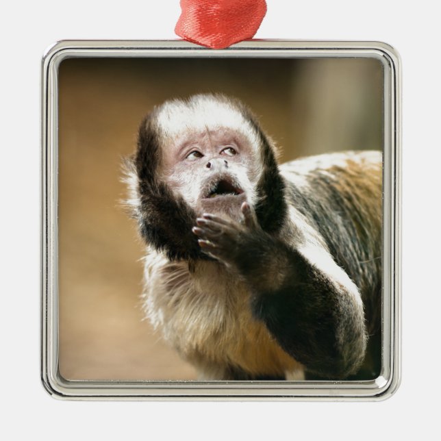 Cheeky & thoughtful baby capuchin monkey metal ornament (Front)