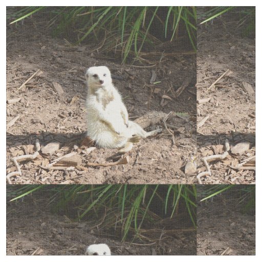 Cheeky White Meerkat, Fabric
