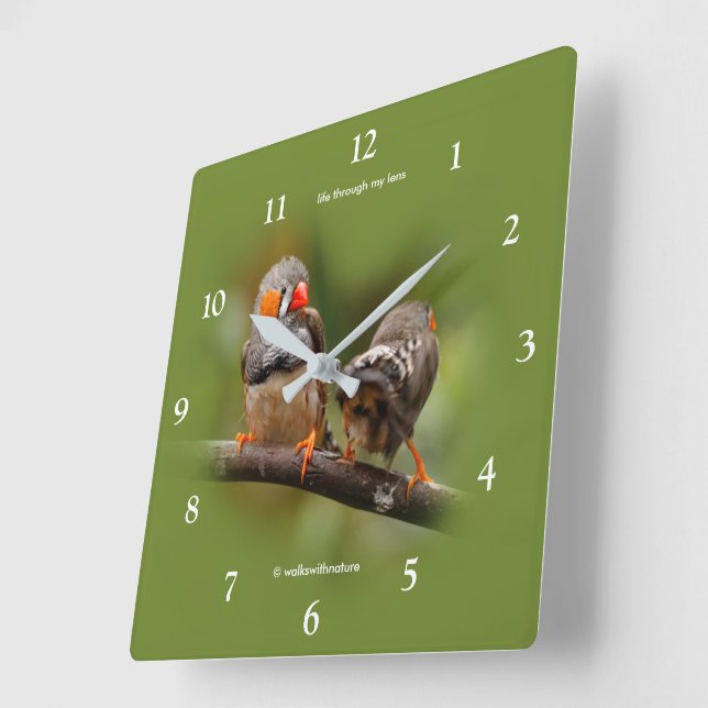 Cheeky Zebra Finches Songbirds on Branch Square Wall Clock (Angle)
