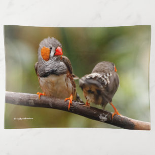 Cheeky Zebra Finches Songbirds on Branch Trinket Tray