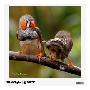 Cheeky Zebra Finches Songbirds on Branch Wall Decal