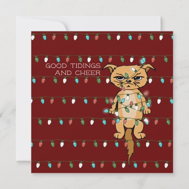 Cheer Cat; Funny Tangled Kitty in Xmas Lights Red Holiday Card (Front)