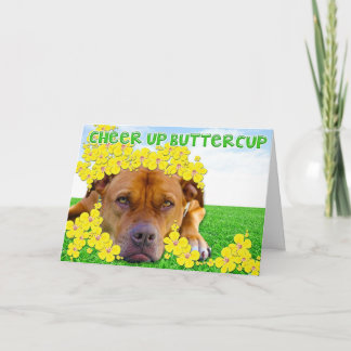 Cheer up Buttercup! Card
