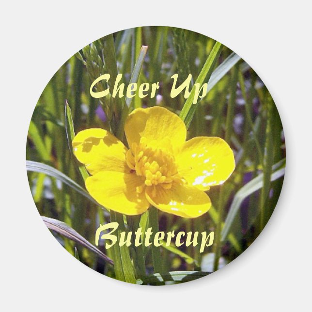 Cheer Up Buttercup Magnet (Front)