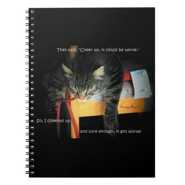 Cheer up Kitty It Could Be Worse Notebook (Front)