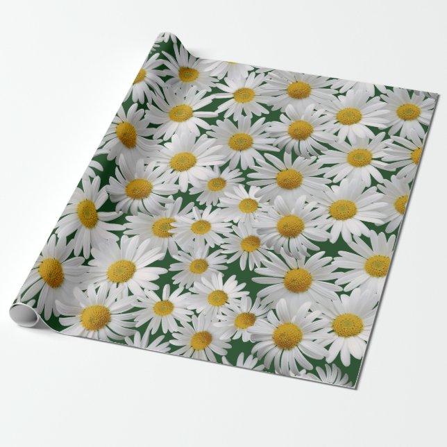 Cheerful, Bright Daisy Wrapping Paper (Unrolled)