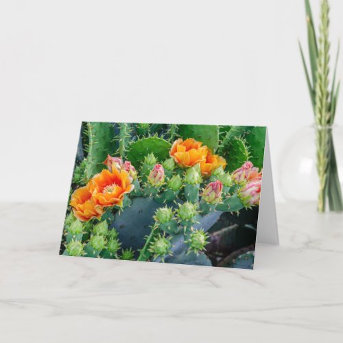 Cheerful Cactus Flowers Greeting Card