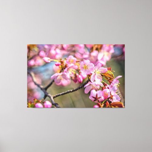 Cheerful Cascade Of Sakura Flowers On A Spring Day Canvas Print