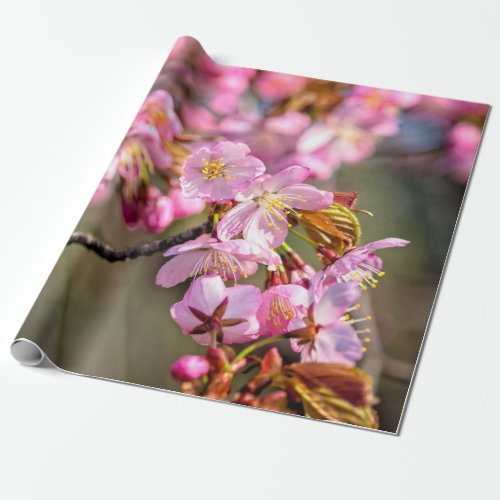 Cheerful Cascade Of Sakura Flowers On A Spring Day Wrapping Paper