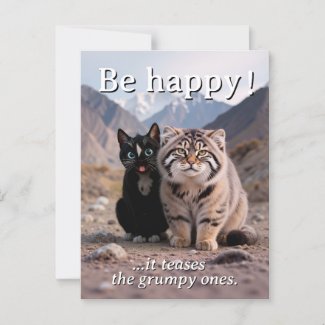 Cheerful Cat vs. Grumpy Cat β Humor Postcard