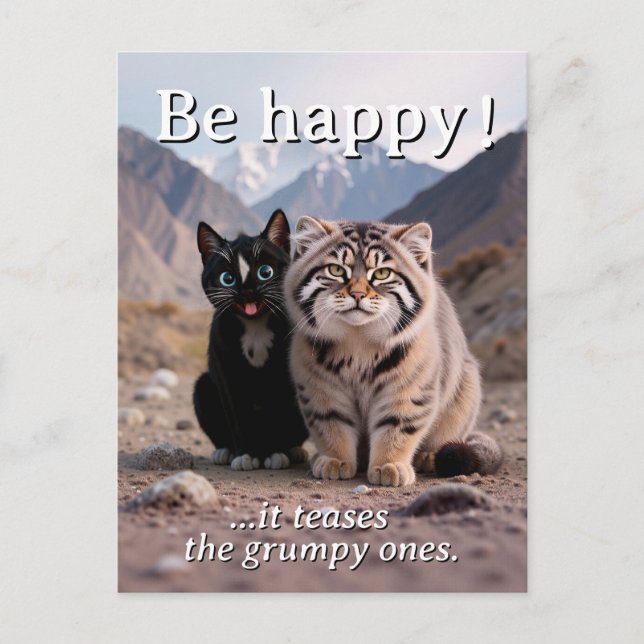 Cheerful Cat vs. Grumpy Cat – Humor Postcard (Front)