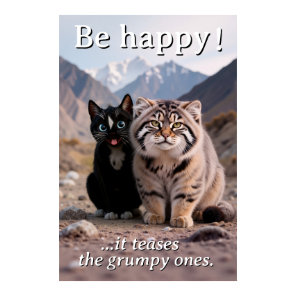 Cheerful Cat vs. Grumpy Cat – Humor Poster