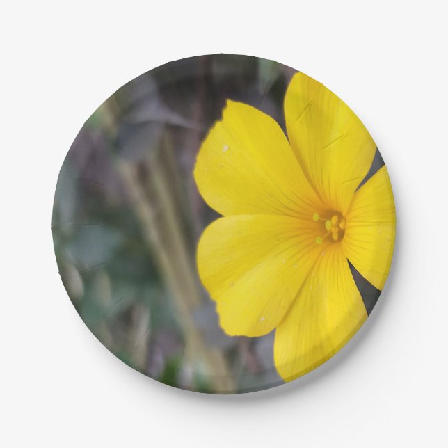 Cheerful Floral Disposable Plates for Parties  (Front)