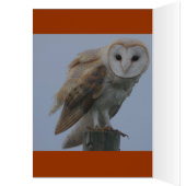 CHEERFUL GRIN (Inside (Left))