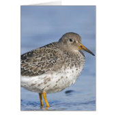 CHEERFUL GRIN (Front)