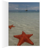 CHEERFUL GRIN (Inside (Right))