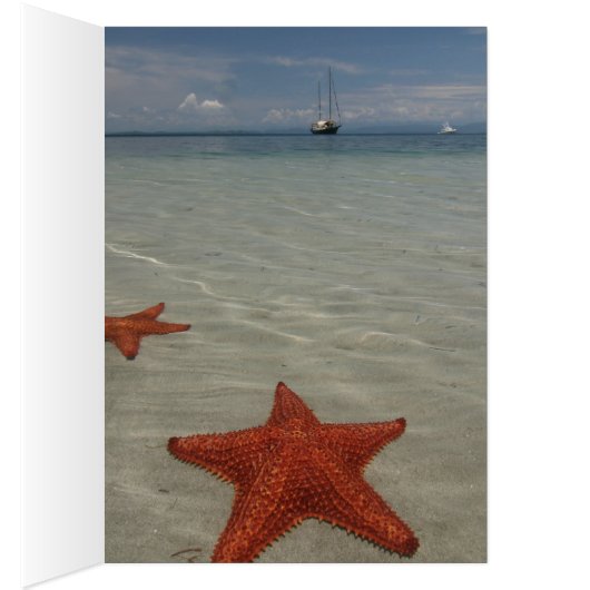 CHEERFUL GRIN (Inside (Right))