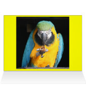 CHEERFUL GRIN (Inside Horizontal (Top))