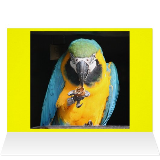 CHEERFUL GRIN (Inside Horizontal (Top))