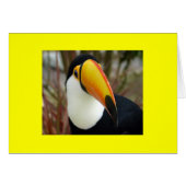 CHEERFUL GRIN (Front Horizontal)